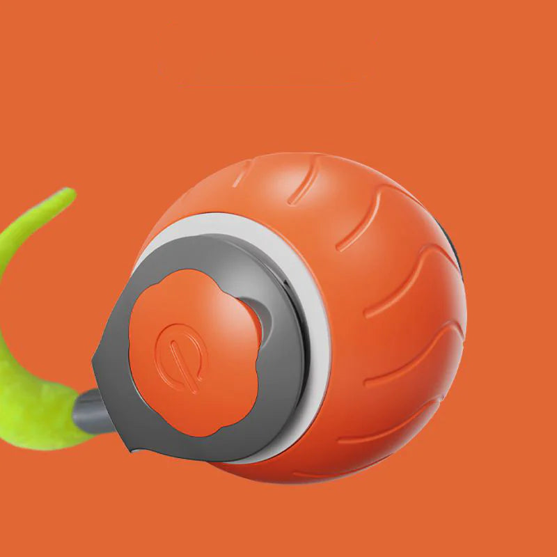 Jouet pour Chat Speedy Tail, Jouet Interactif pour Chats d'Intérieur, Balle de Jeu pour Chat, Jouet Interactif en Forme de Balle, Réglable sur Deux Vitesses, Rechargeable par USB