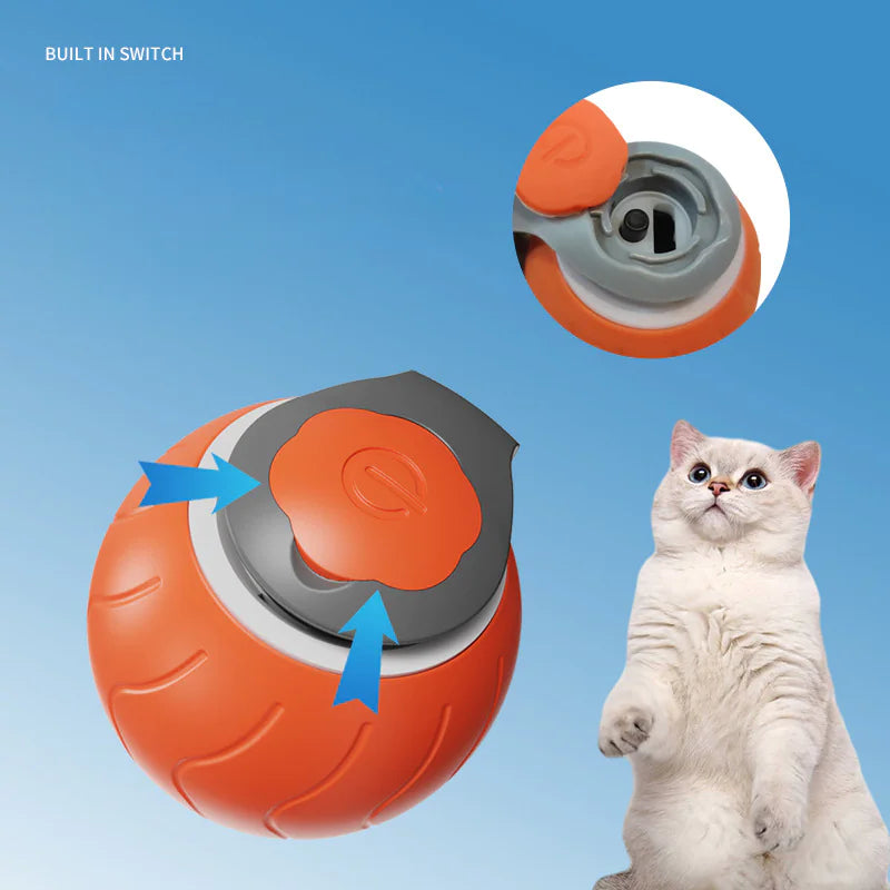 Jouet pour Chat Speedy Tail, Jouet Interactif pour Chats d'Intérieur, Balle de Jeu pour Chat, Jouet Interactif en Forme de Balle, Réglable sur Deux Vitesses, Rechargeable par USB