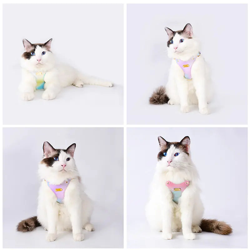 Harnais en Cuir Imperméable Ajustable pour Petits Chiens