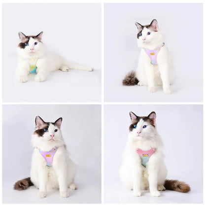 Harnais en Cuir Imperméable Ajustable pour Petits Chiens