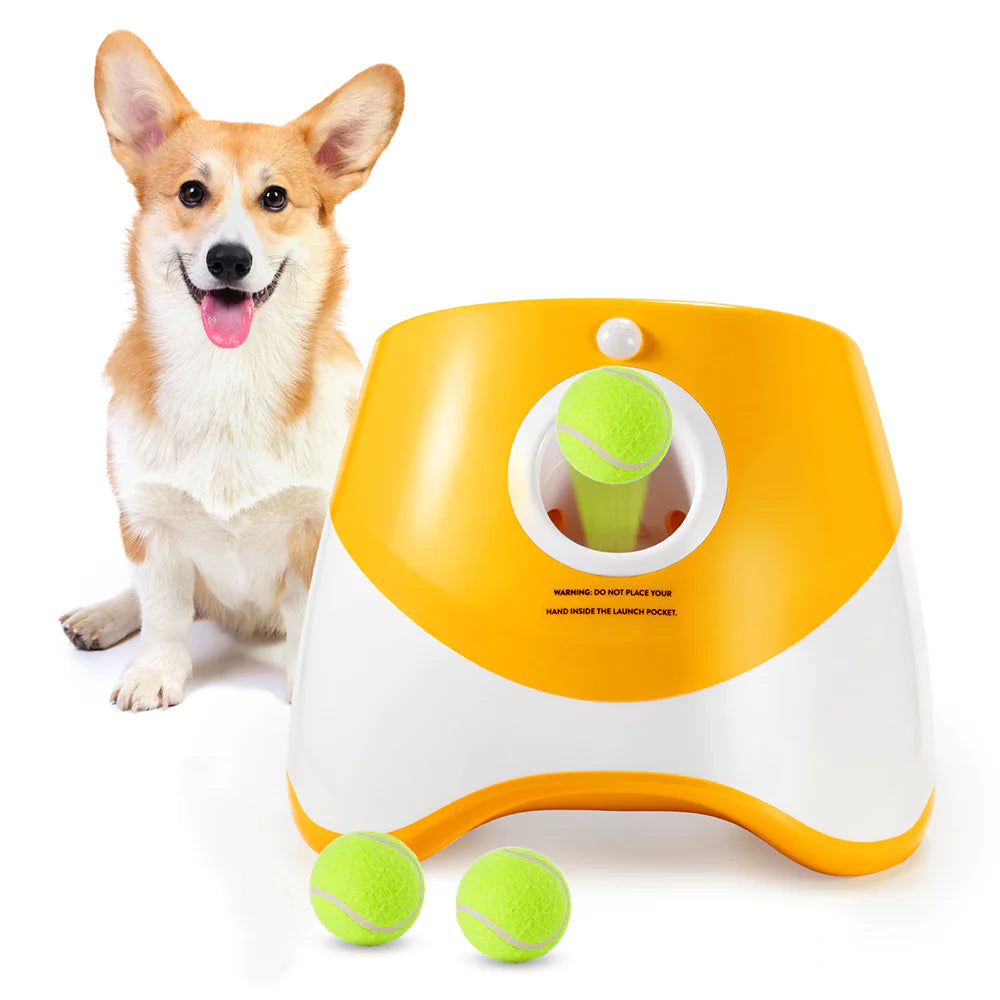 Lanceur Automatique de Balles pour Chiens