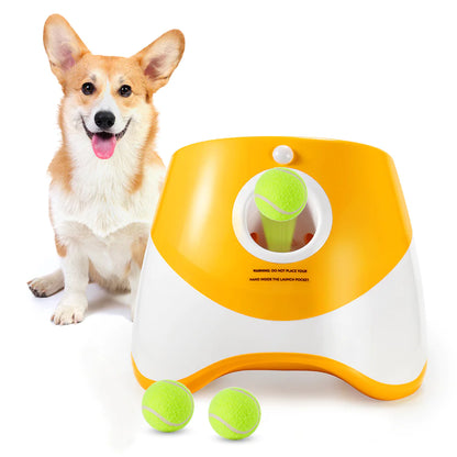Lanceur Automatique de Balles pour Chiens