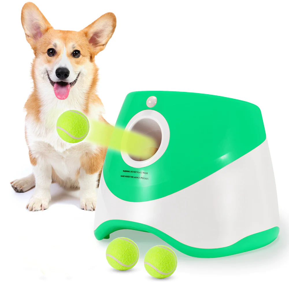 Lanceur Automatique de Balles pour Chiens
