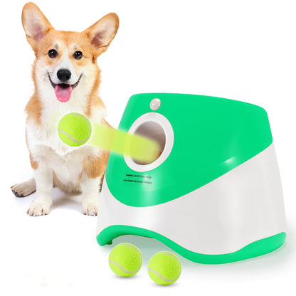 Lanceur Automatique de Balles pour Chiens