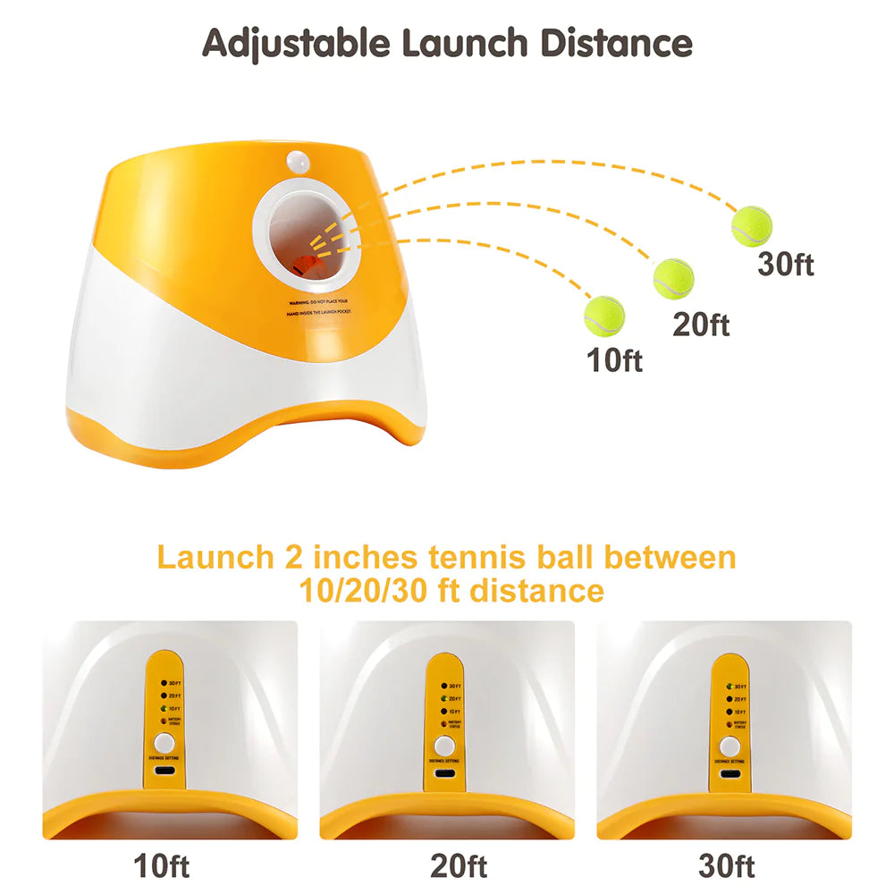 Lanceur Automatique de Balles pour Chiens
