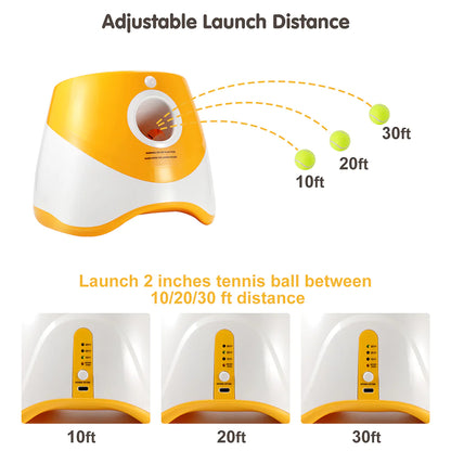 Lanceur Automatique de Balles pour Chiens