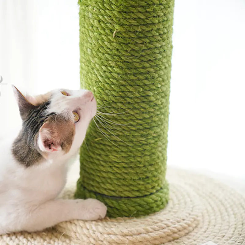 Corde en Jute Colorée pour l'Artisanat DIY et les Jouets pour Chats (10m)