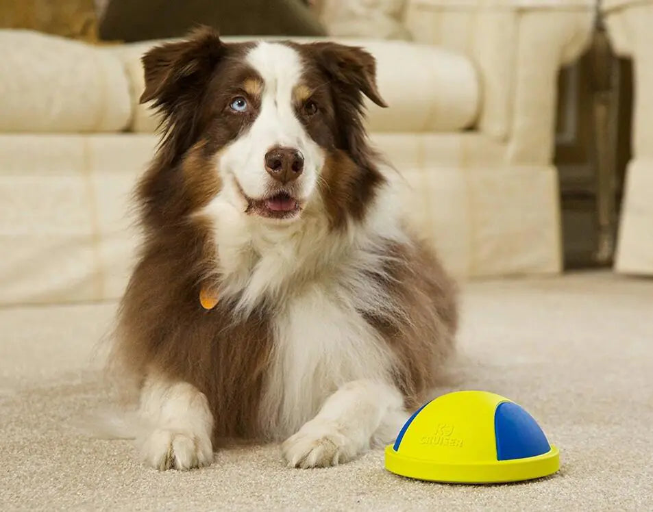 Dog Chew and Tug Toys Collection