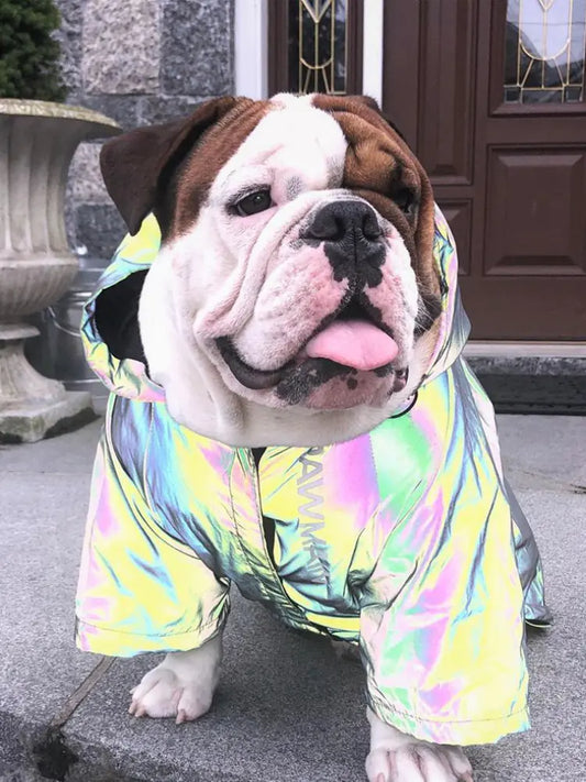 Manteau réfléchissant en microcristallins pour chiens