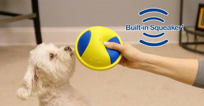 Dog Chew and Tug Toys Collection