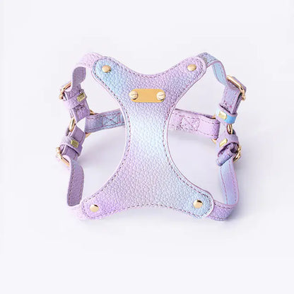 Harnais en Cuir Imperméable Ajustable pour Petits Chiens