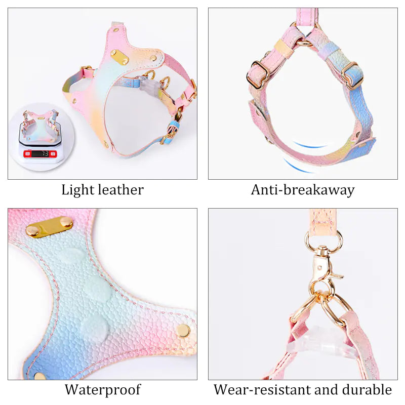 Harnais en Cuir Imperméable Ajustable pour Petits Chiens