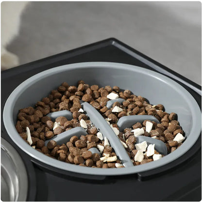 Gamelle Surélevée à Alimentation Lente pour Chiens