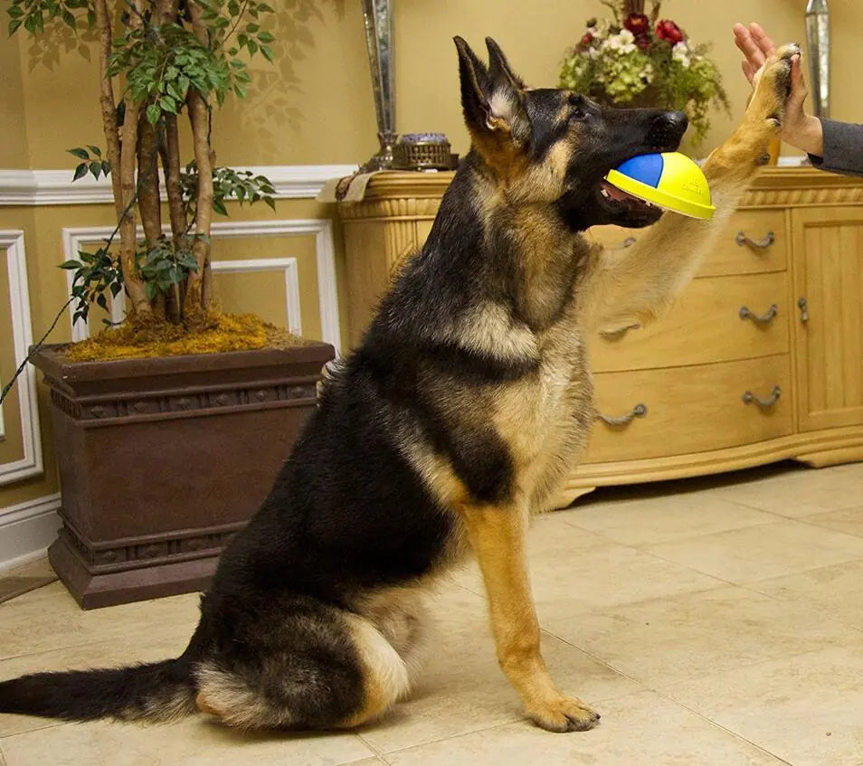 Dog Chew and Tug Toys Collection