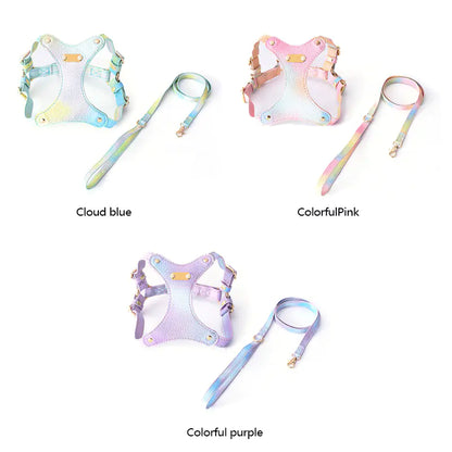 Harnais en Cuir Imperméable Ajustable pour Petits Chiens