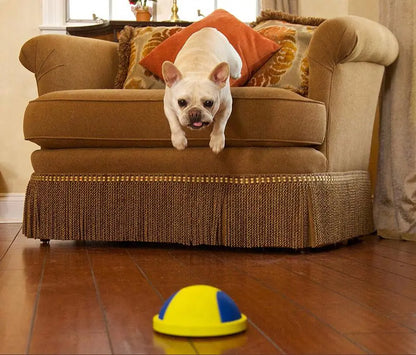 Dog Chew and Tug Toys Collection