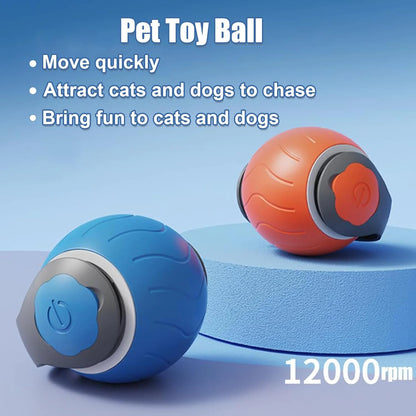 Jouet pour Chat Speedy Tail, Jouet Interactif pour Chats d'Intérieur, Balle de Jeu pour Chat, Jouet Interactif en Forme de Balle, Réglable sur Deux Vitesses, Rechargeable par USB