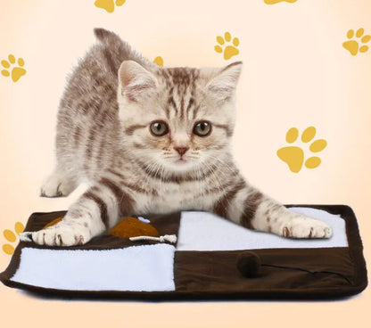 Tapis Griffoir pour Chat avec Jouet à l'Herbe à Chat et Fibre de Sisal
