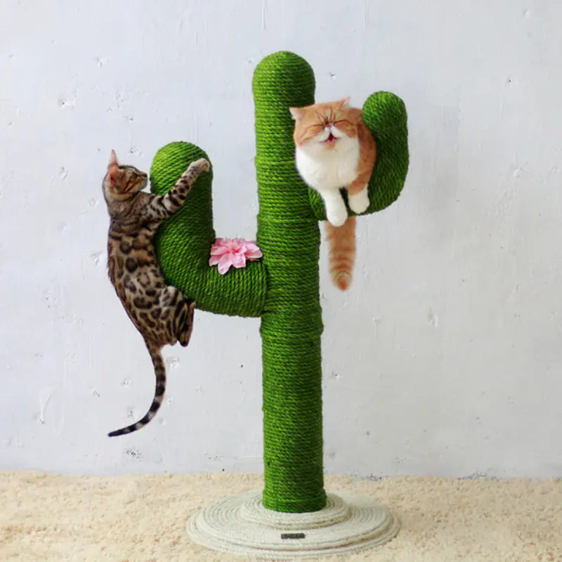 Corde en Jute Colorée pour l'Artisanat DIY et les Jouets pour Chats (10m)